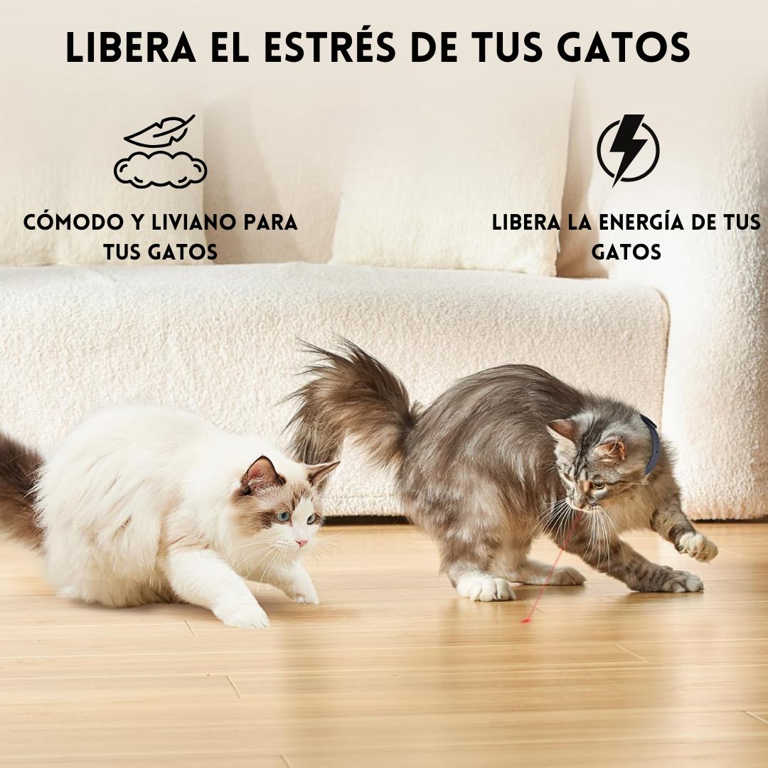 MiauLáser® collar laser para gatos
